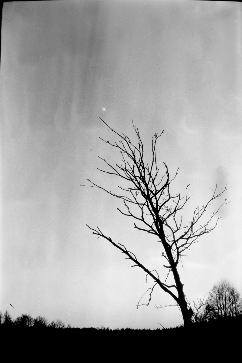 zdjecia przasnysz fotograf piotr-paczynski portfolio black-and-white