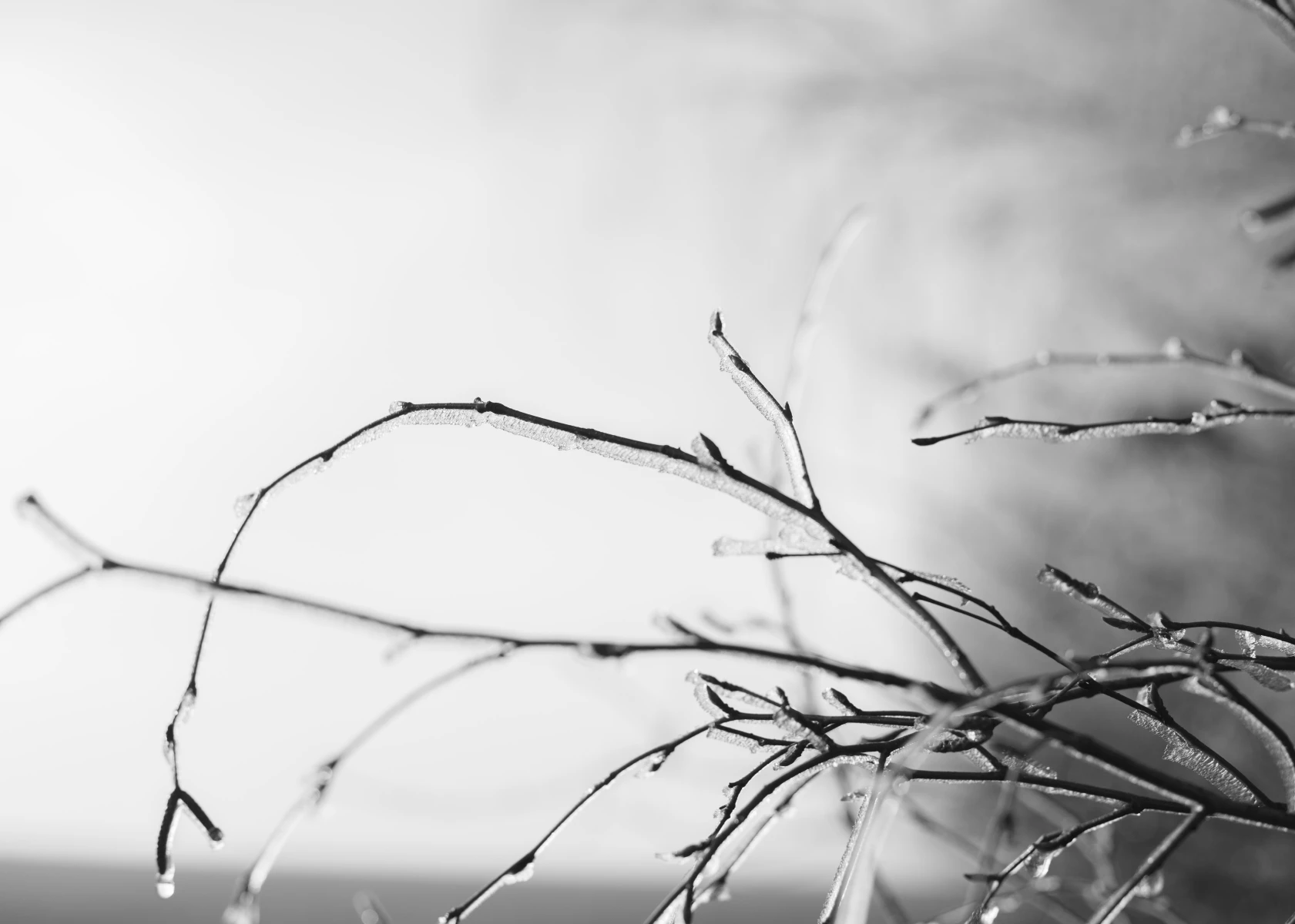zdjecia przasnysz fotograf piotr-paczynski portfolio black-and-white