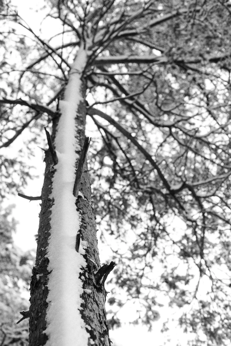 zdjecia przasnysz fotograf piotr-paczynski portfolio black-and-white