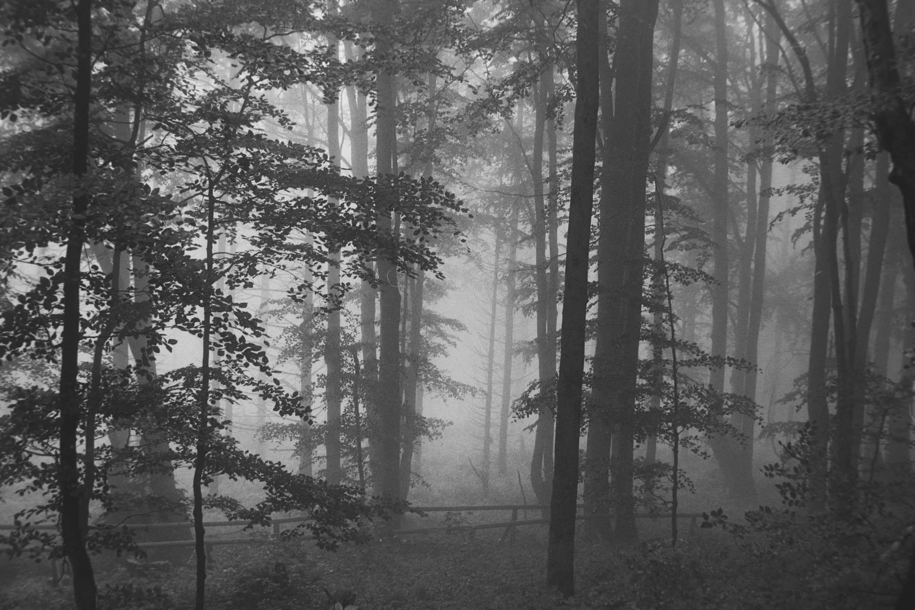 zdjecia przasnysz fotograf piotr-paczynski portfolio black-and-white