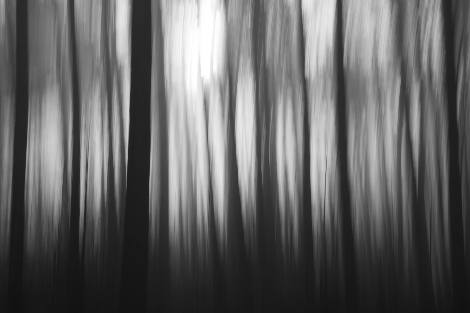 zdjecia przasnysz fotograf piotr-paczynski portfolio black-and-white