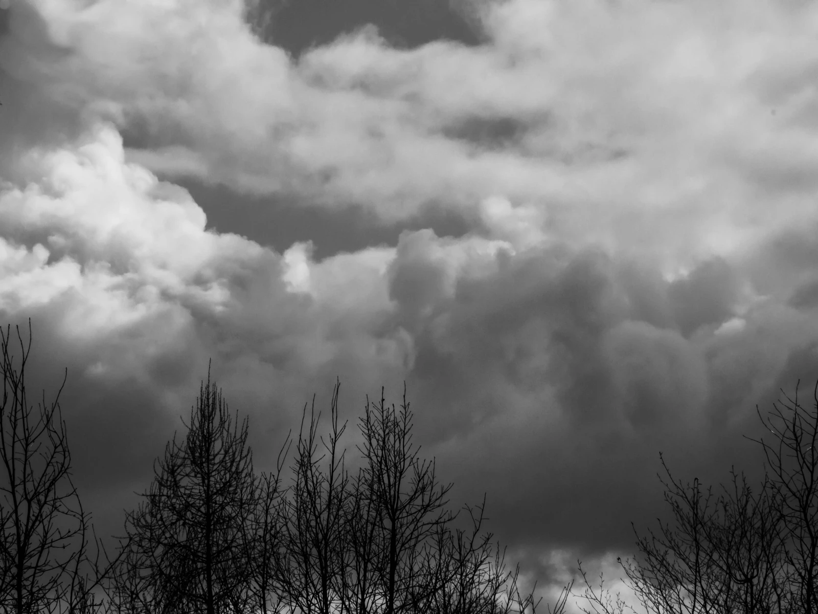 zdjecia przasnysz fotograf piotr-paczynski portfolio black-and-white