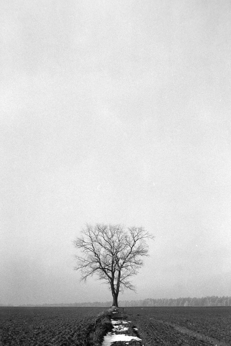 zdjecia przasnysz fotograf piotr-paczynski portfolio black-and-white
