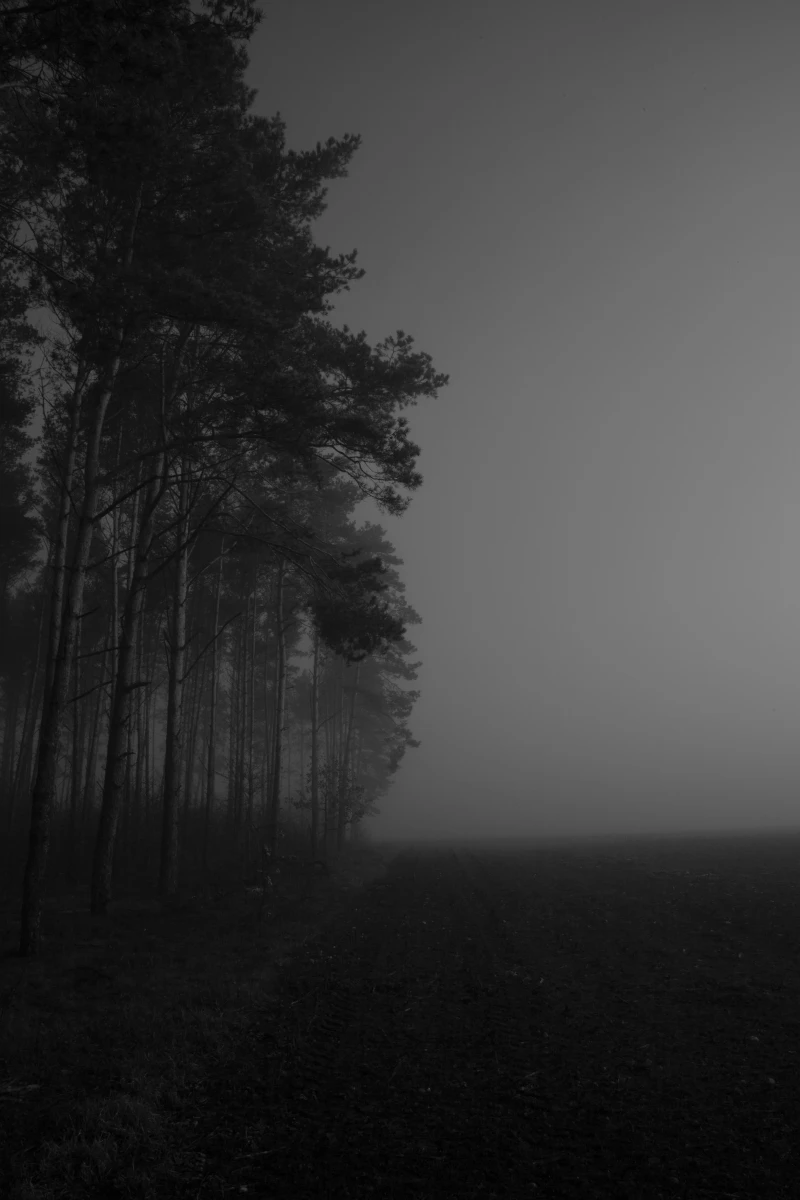 zdjecia przasnysz fotograf piotr-paczynski portfolio black-and-white