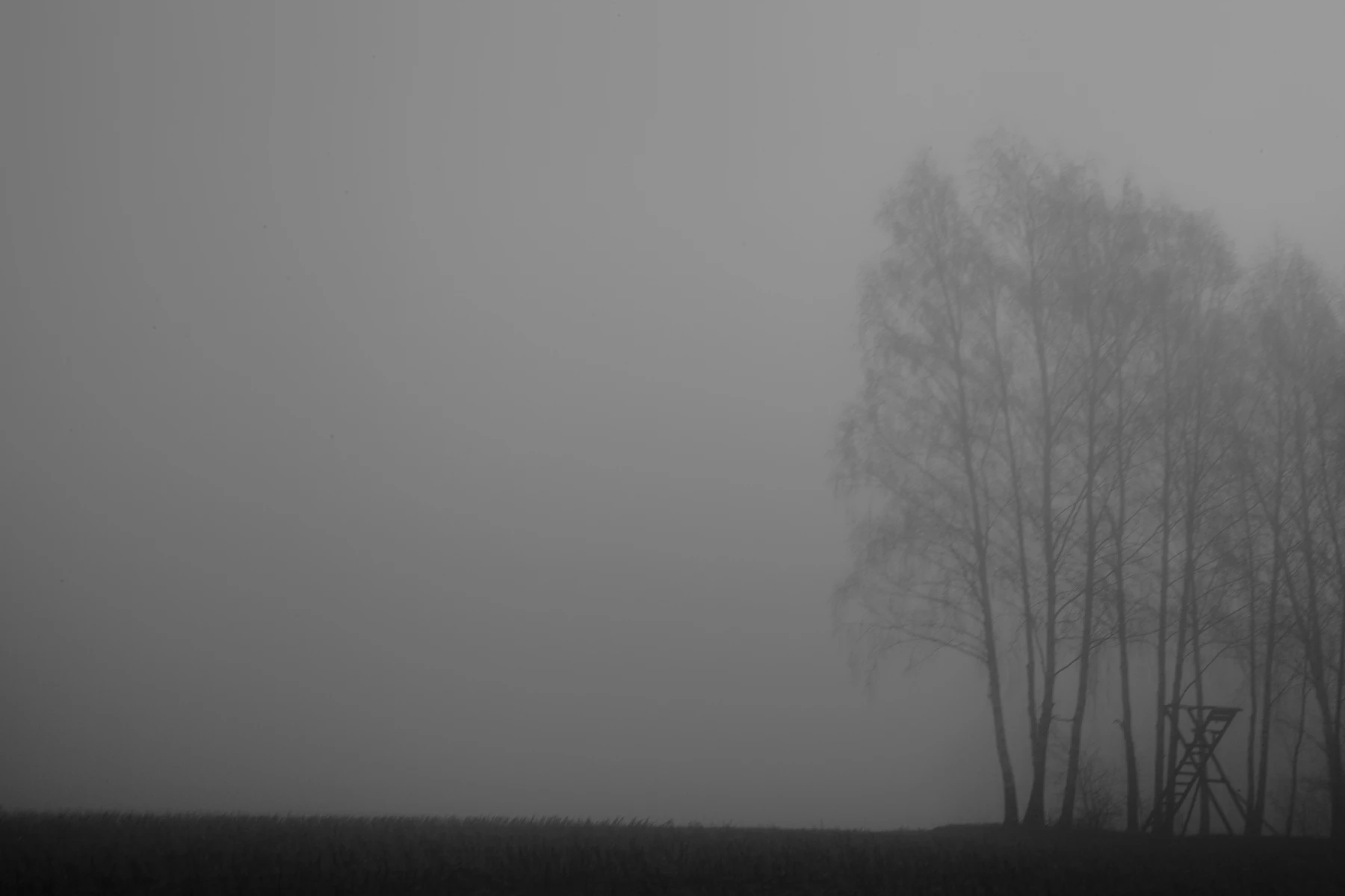 zdjecia przasnysz fotograf piotr-paczynski portfolio black-and-white