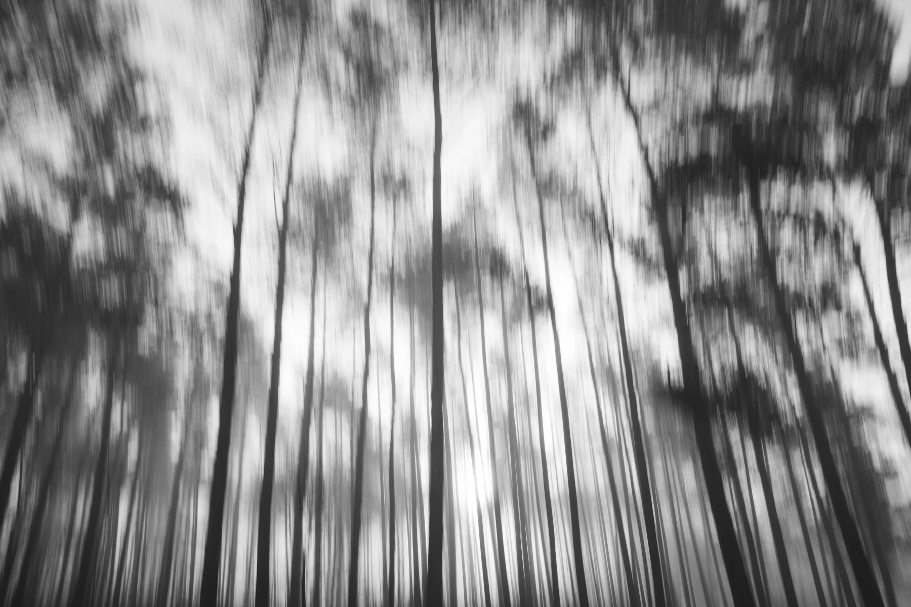 zdjecia przasnysz fotograf piotr-paczynski portfolio black-and-white