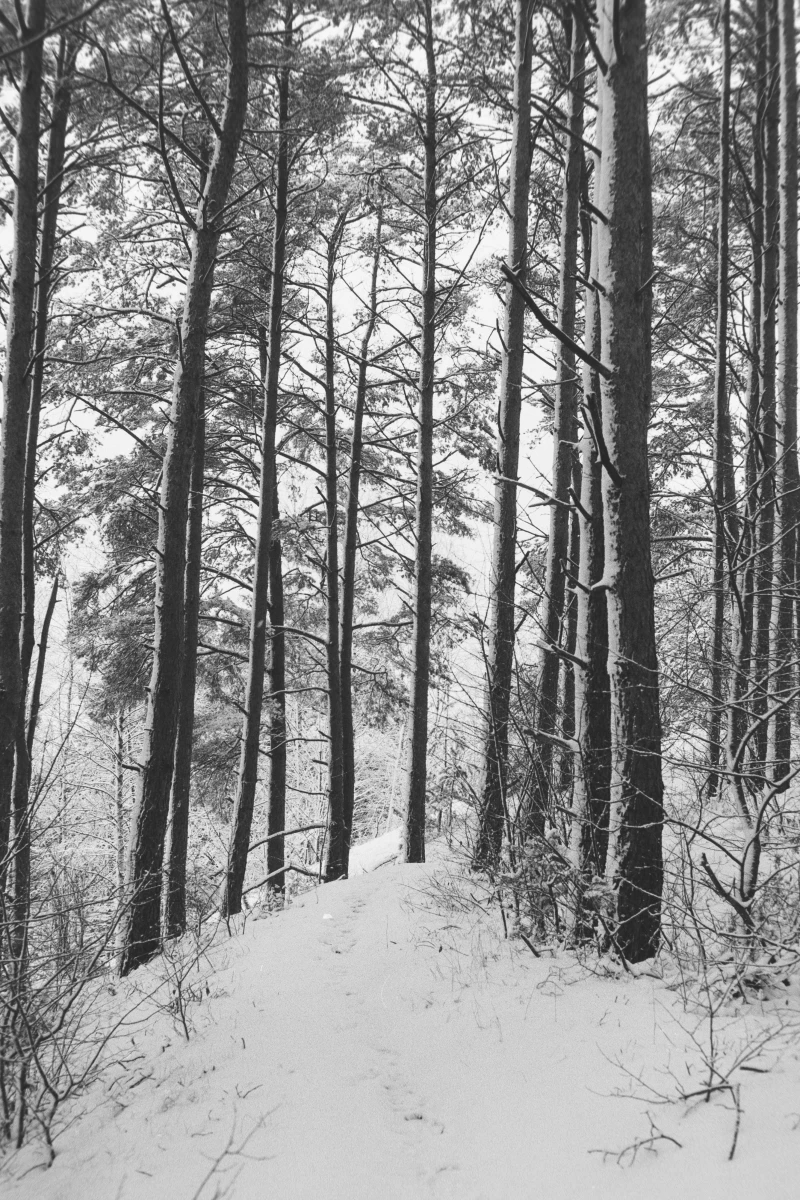 zdjecia przasnysz fotograf piotr-paczynski portfolio black-and-white