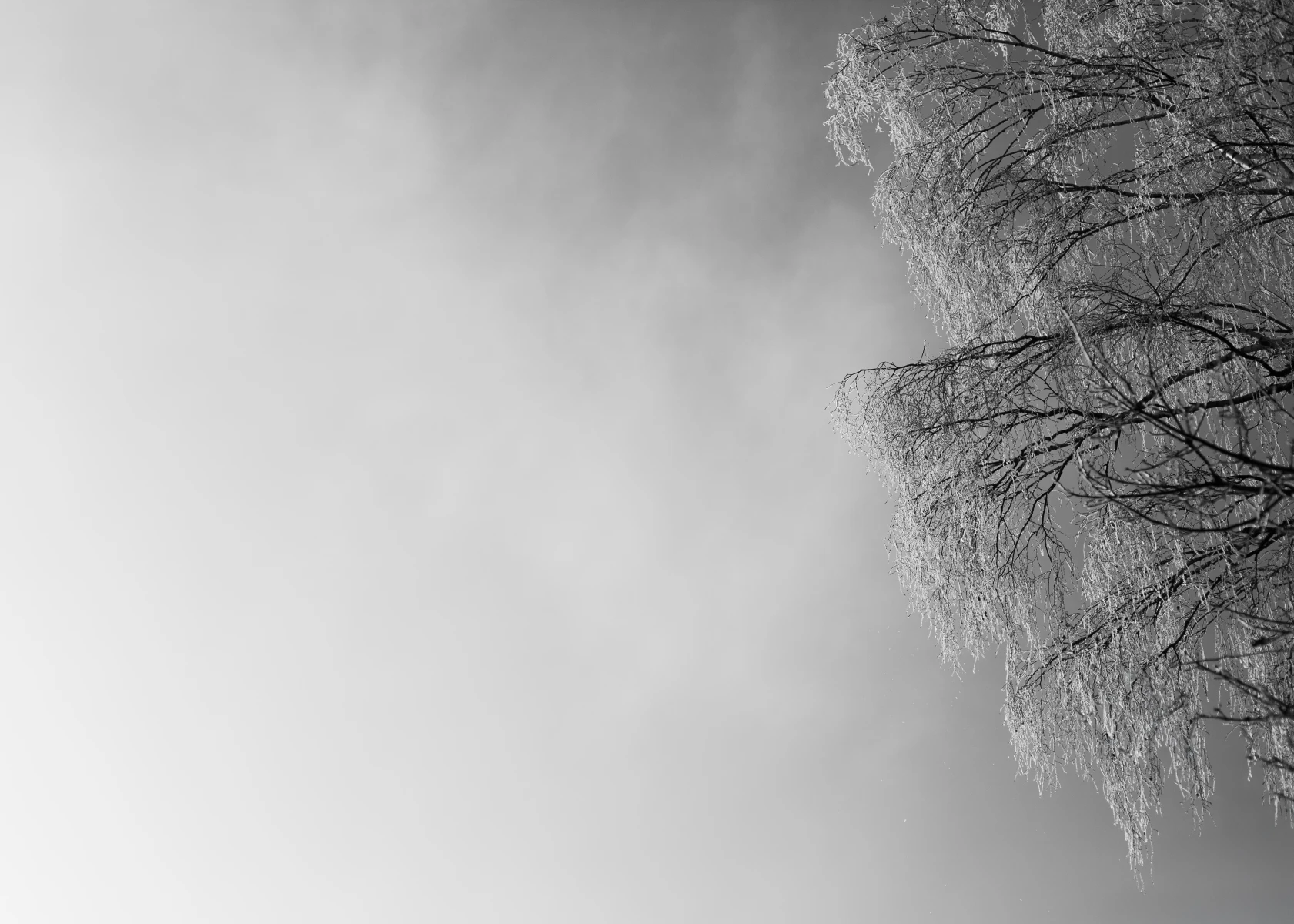 zdjecia przasnysz fotograf piotr-paczynski portfolio black-and-white