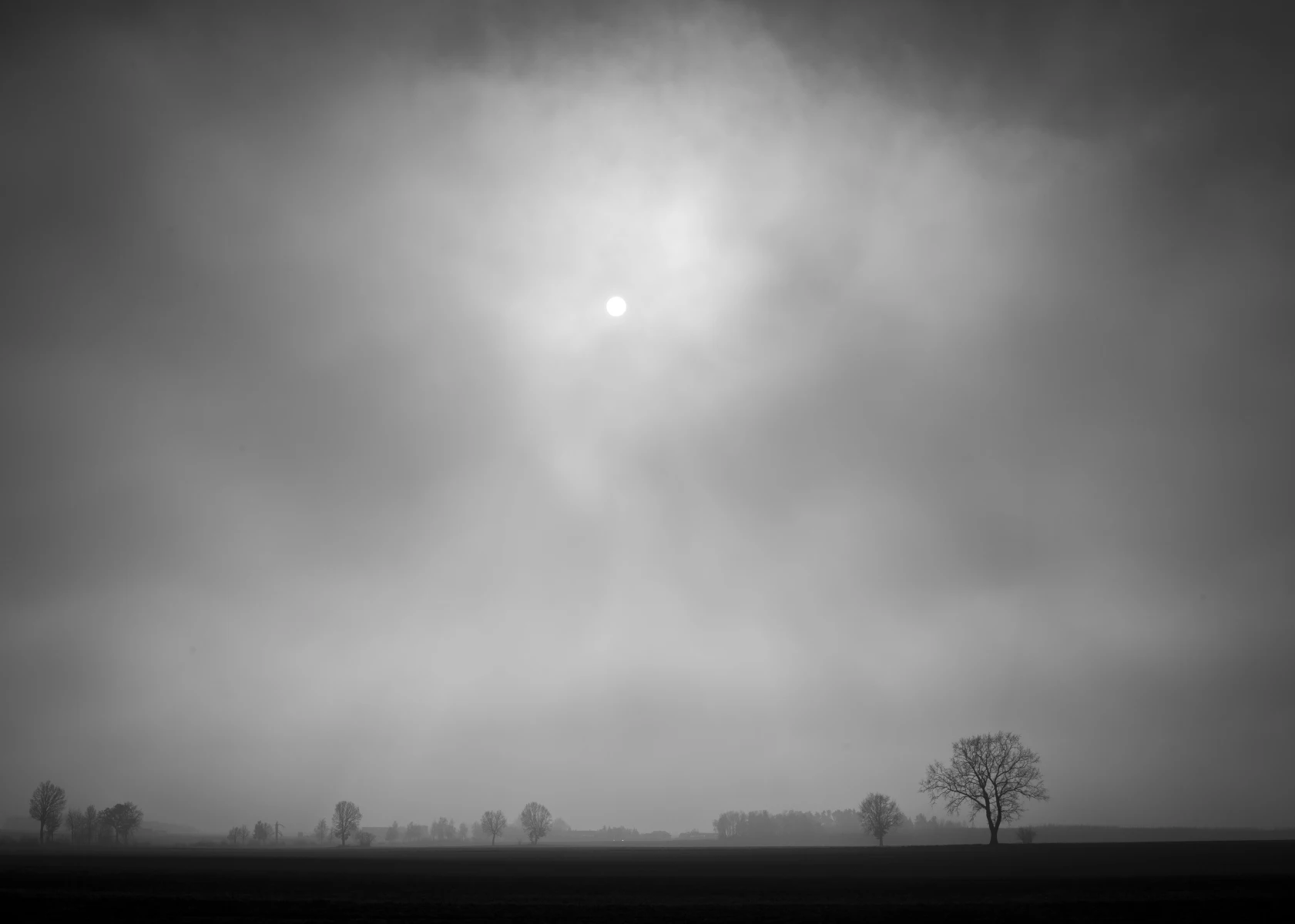 zdjecia przasnysz fotograf piotr-paczynski portfolio black-and-white