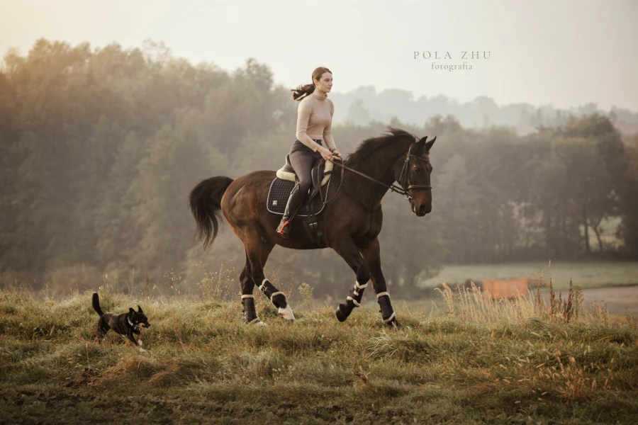 zdjecia  fotograf polazhu portfolio zwierzat