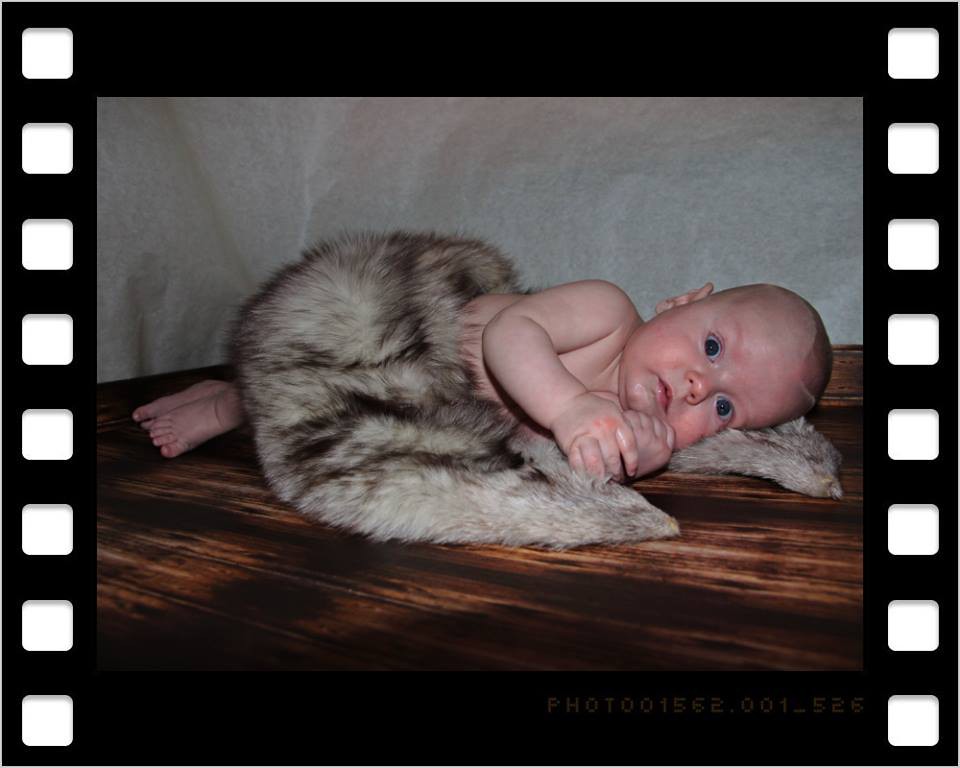 zdjęcia ciechanow fotograf radoslaw-mosakowski portfolio sesje dzieciece fotografia dziecieca sesja urodzinowa