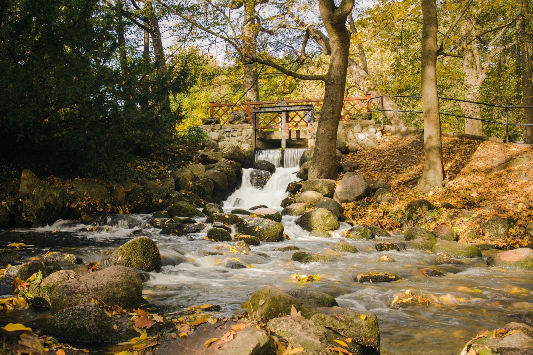 zdjęcia gliwice fotograf rawpowerphoto portfolio jesienny-krajobraz