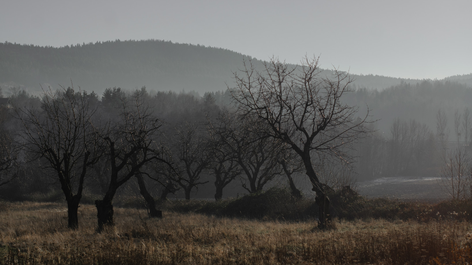zdjęcia wroclaw fotograf renata-drygiel portfolio zdjecia krajobrazu gory mazury