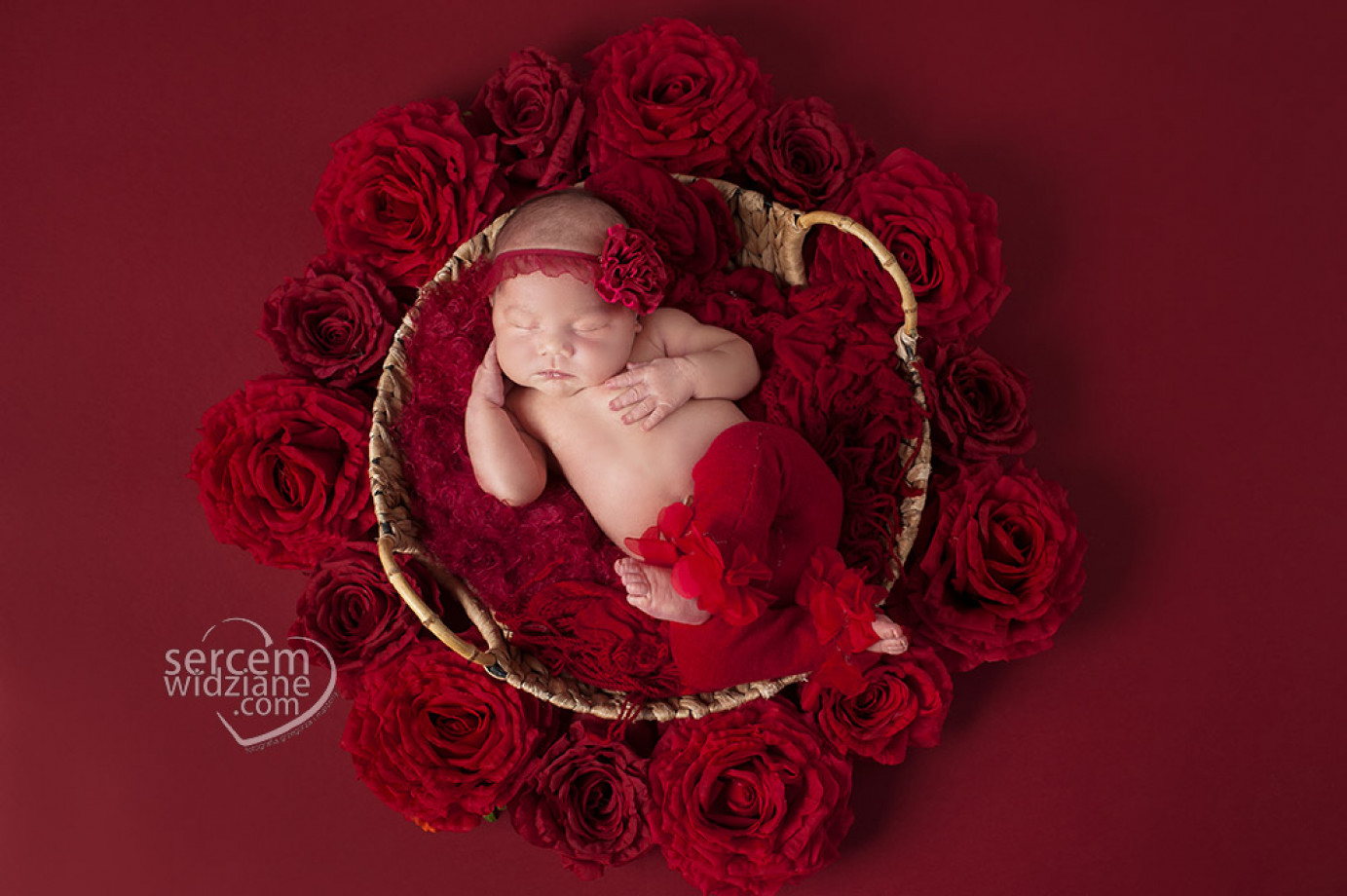 zdjęcia warszawa fotograf sercemwidziane-fotografia-noworodkowa-oraz-rodzinna portfolio zdjecia noworodkow sesje noworodkowe niemowlę