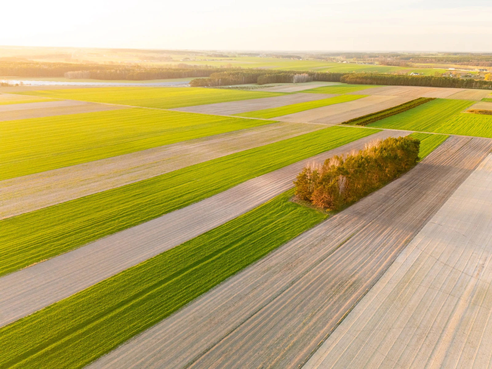 zdjecia tomaszow-mazowiecki fotograf studio-jaskrawo portfolio fotografia-dronowa-zdjecia-z-drona