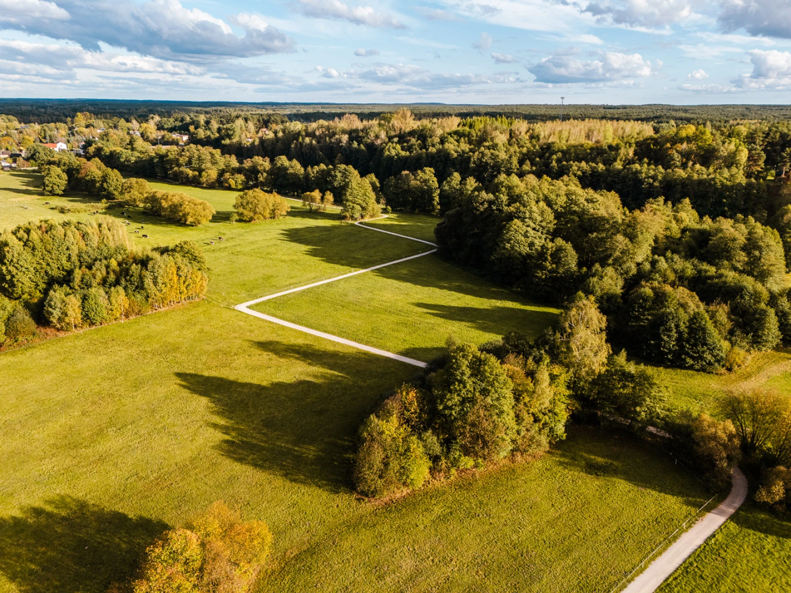 zdjecia tomaszow-mazowiecki fotograf studio-jaskrawo portfolio fotografia-dronowa-zdjecia-z-drona