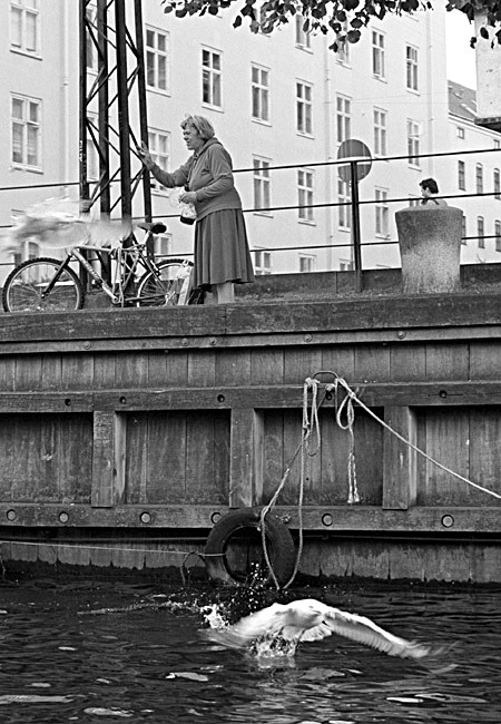 zdjęcia krakow fotograf studiomarkapl portfolio zdjecia black white czarno biale