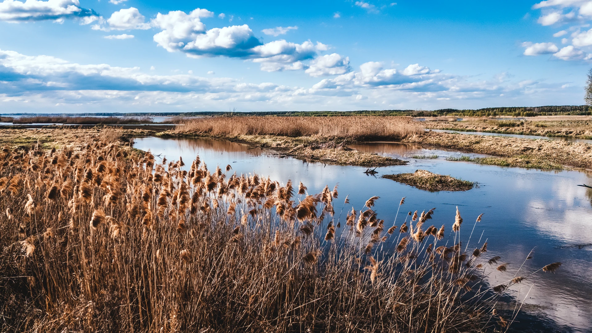 zdjęcia opole fotograf wojcik-fotografia portfolio fotografia-dronowa-zdjecia-z-drona