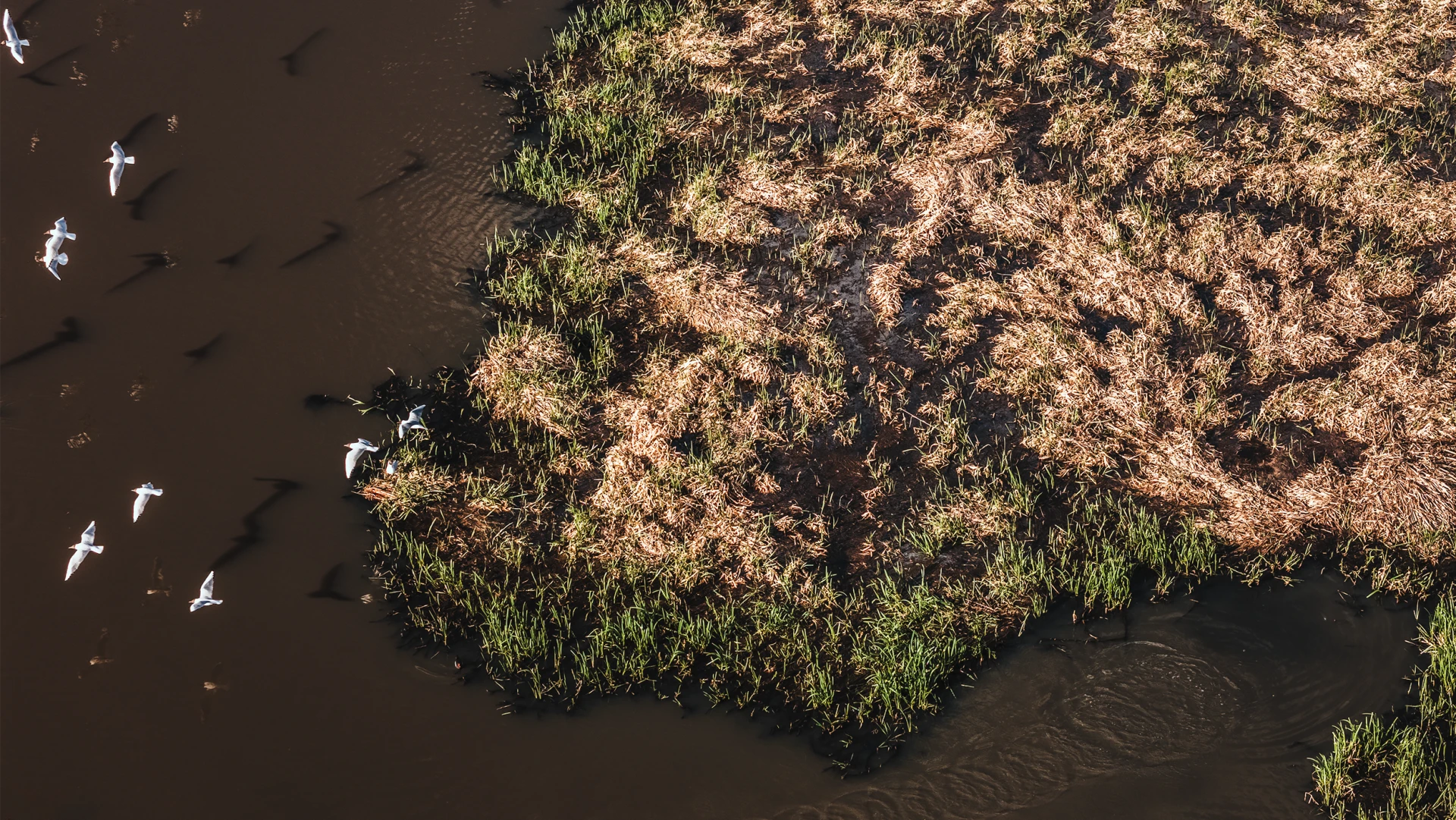 zdjęcia opole fotograf wojcik-fotografia portfolio fotografia-dronowa-zdjecia-z-drona
