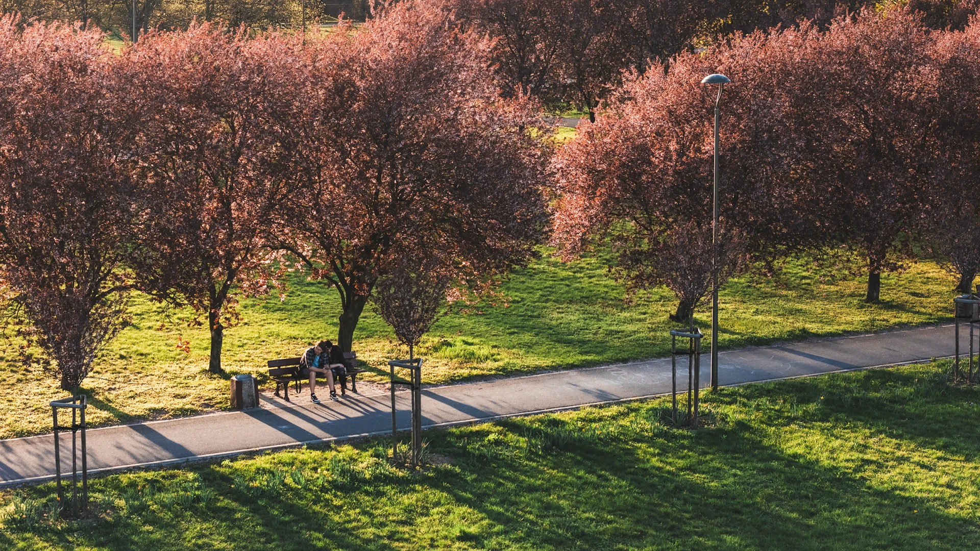 zdjęcia opole fotograf wojcik-fotografia portfolio fotografia-dronowa-zdjecia-z-drona