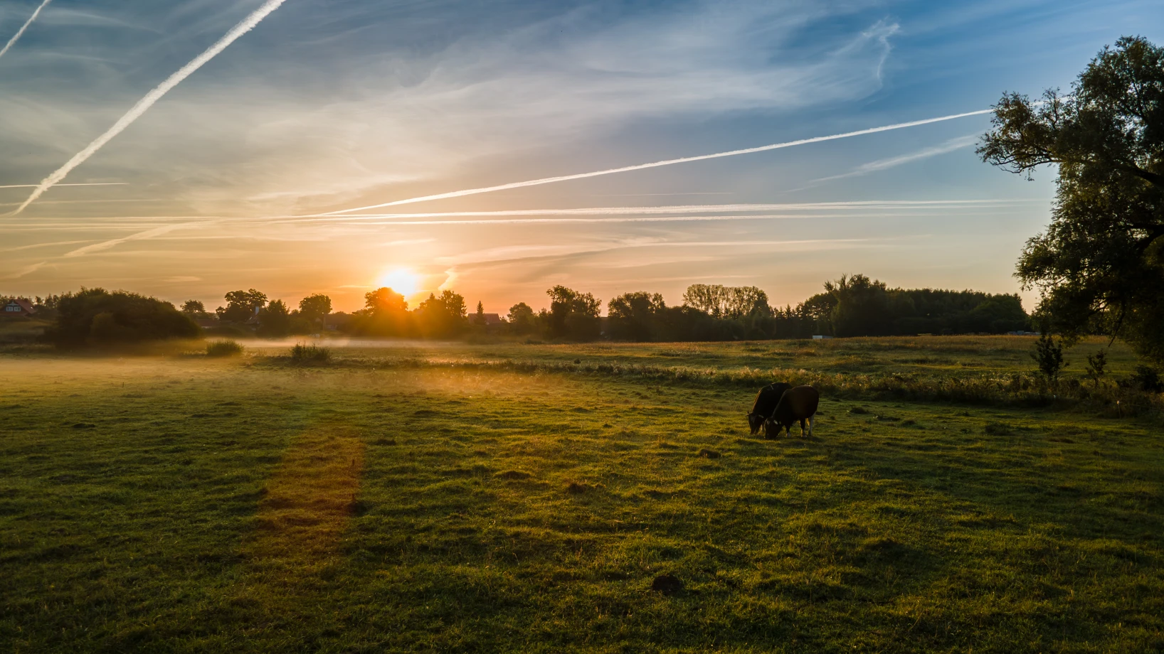 zdjęcia zgierz fotograf wzloty-i-ujecia-fotografia-dronem portfolio fotografia-dronowa-zdjecia-z-drona