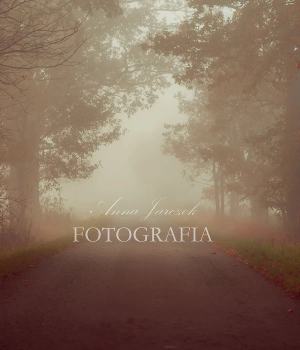 portfolio fotografa anna-jarczok-fotografia fotograf czechowice-dziedzice slaskie