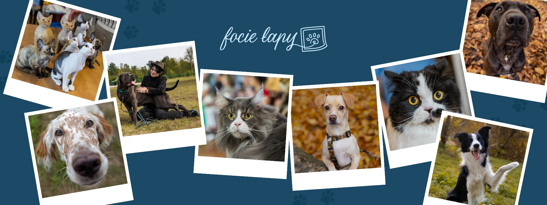 portfolio zdjecia znany fotograf focie-lapy