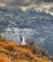 portfolio fotografa julita-chudko-fotograf-zakopane