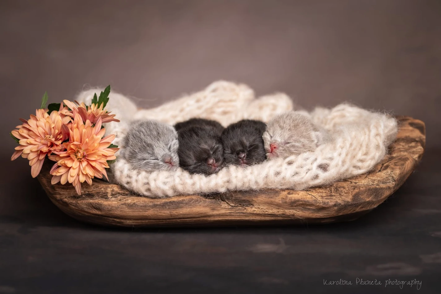 portfolio zdjecia znany fotograf karolina-planeta