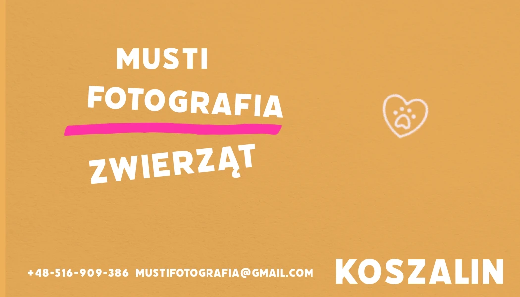 portfolio zdjecia znany fotograf musti-fotografia