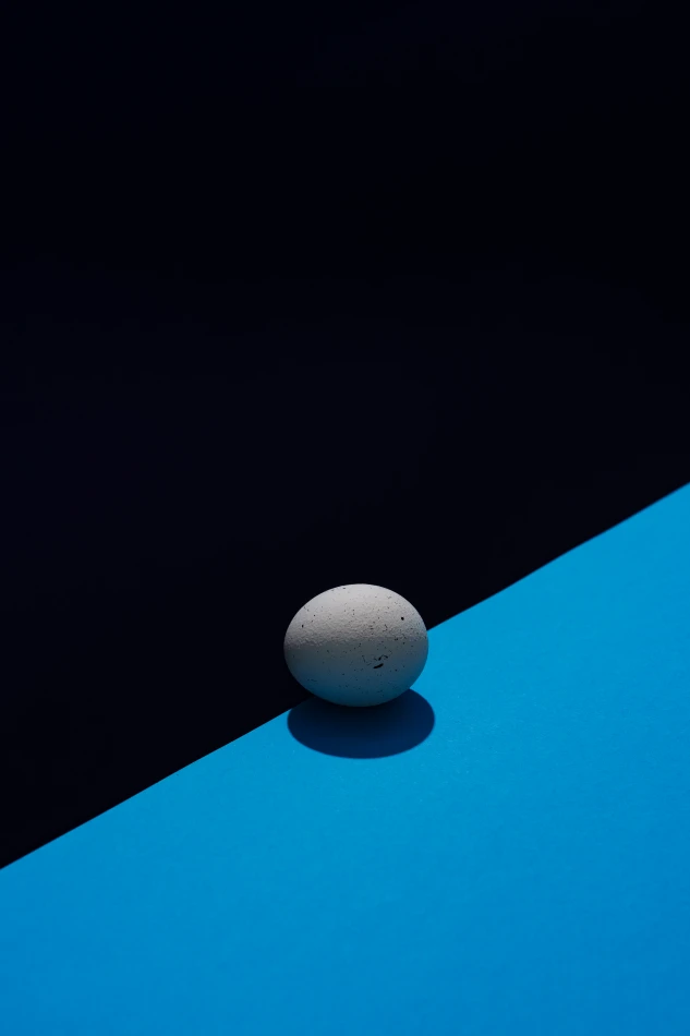 portfolio zdjecia znany fotograf objeqtivestudio