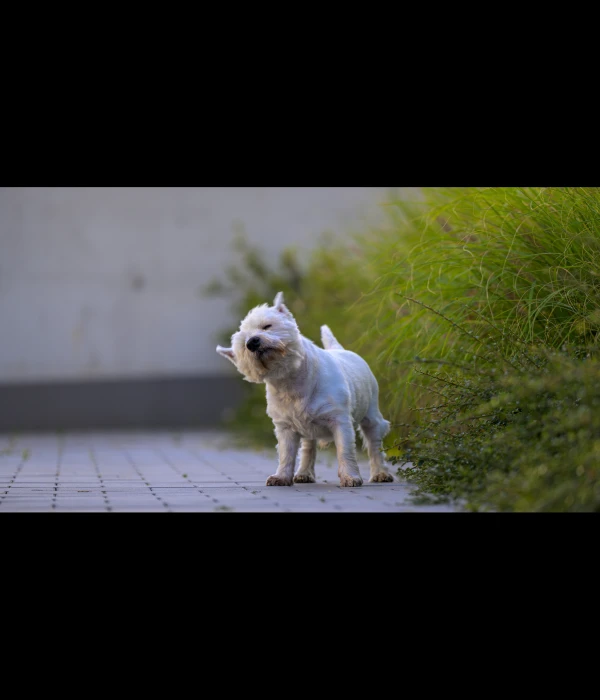 portfolio fotografa pawel-peitsch-photo fotograf wroclaw dolnoslaskie