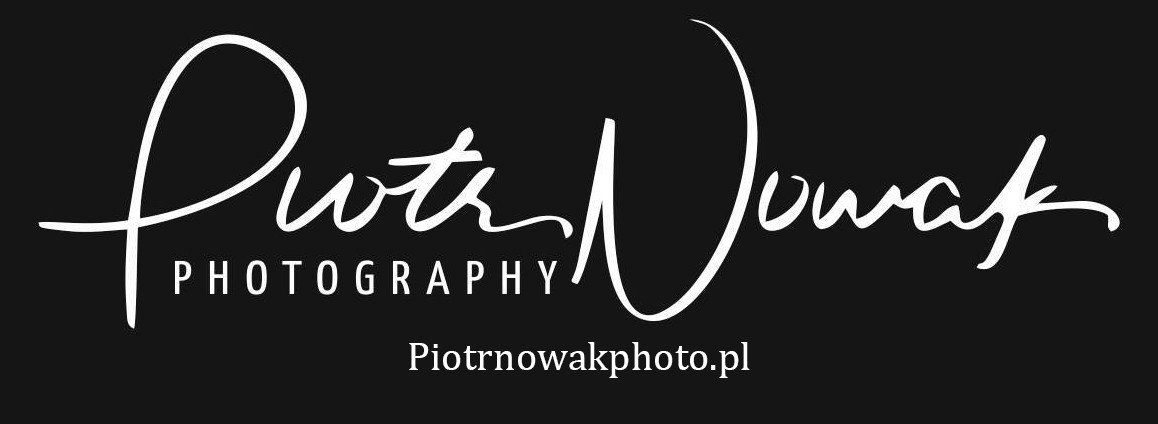 logo piotr-nowak