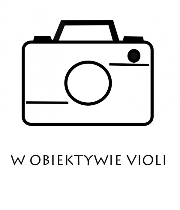 portfolio fotografa w-obiektywie-violi fotograf ledziny slaskie
