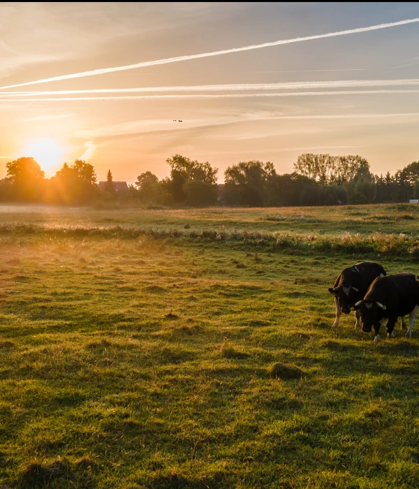 portfolio fotografa wzloty-i-ujecia-fotografia-dronem fotograf zgierz lodzkie