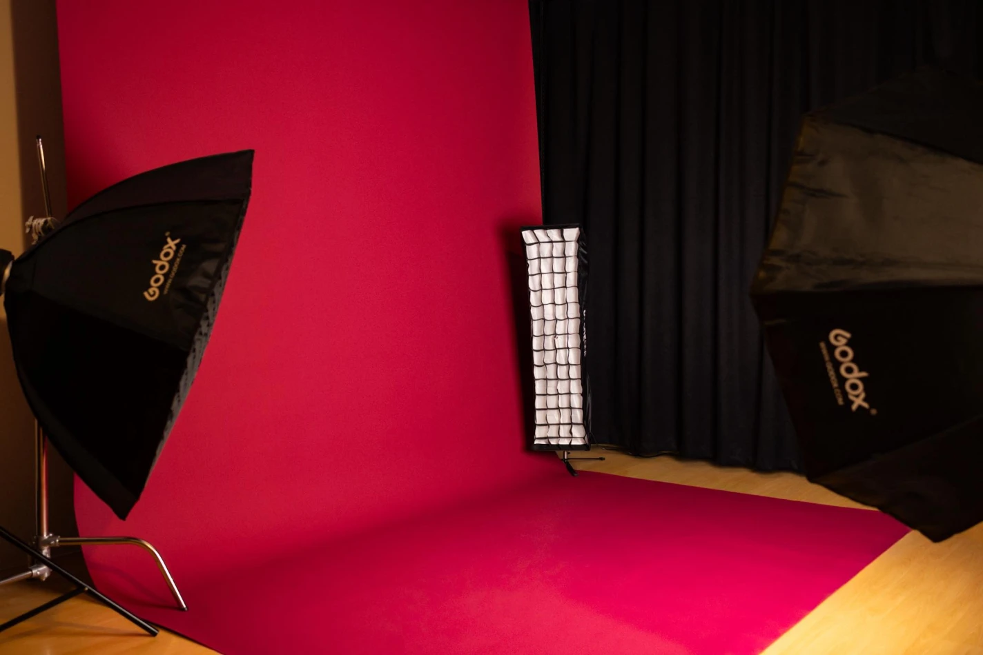 portfolio zdjecia znany fotograf zwierzokadrpl